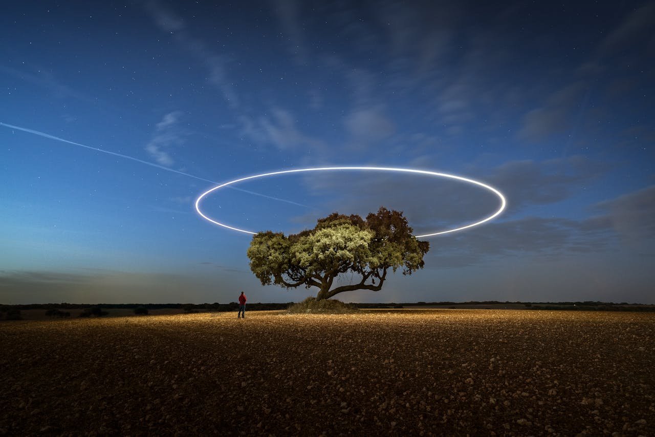 Drone light painting above a solitary tree in Guadalajara creates a mesmerizing night view.
